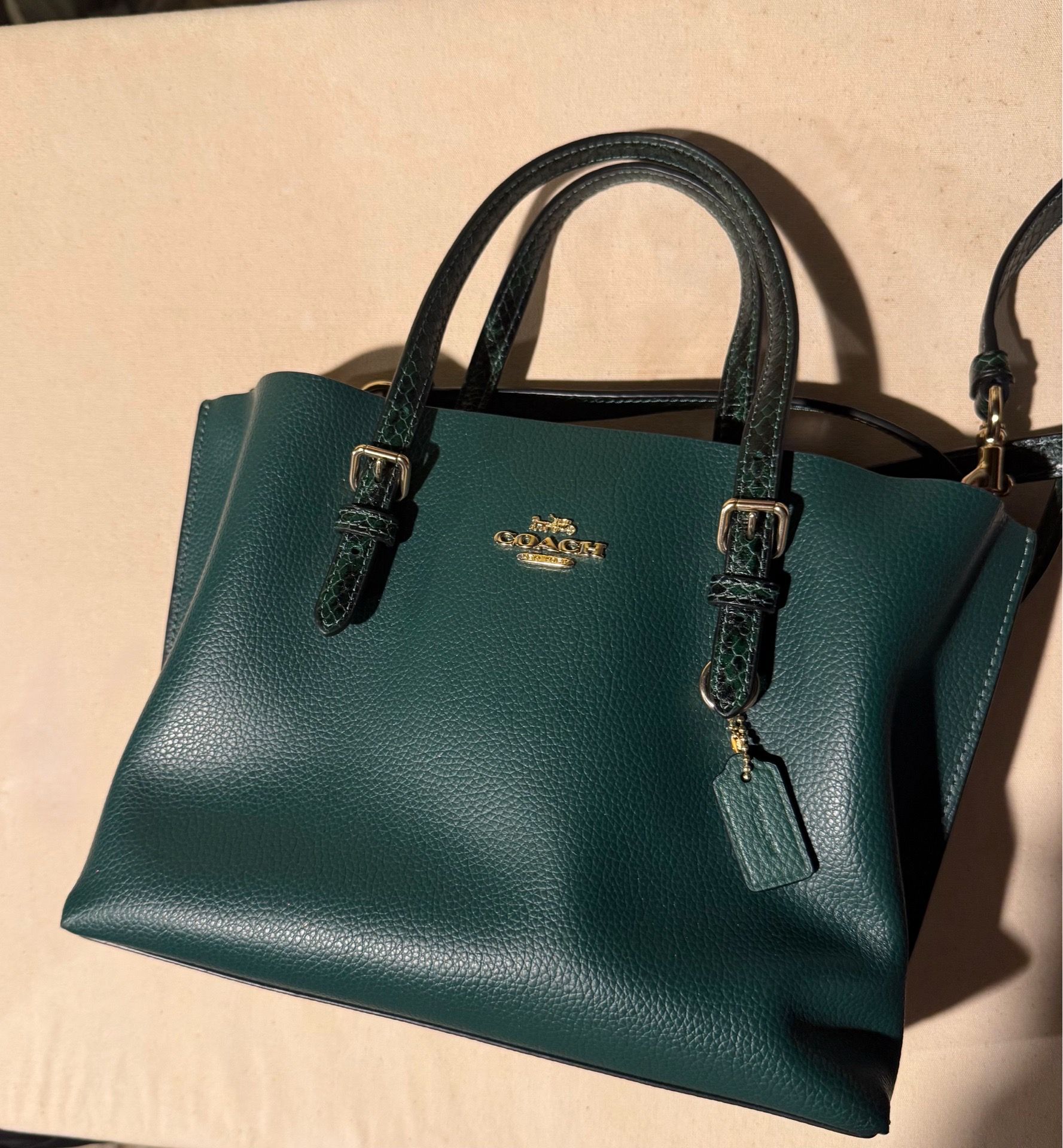 Coach Mollie Tote