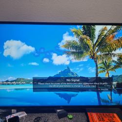 55" LG TV 