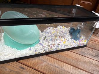 Fish/Hamster tank