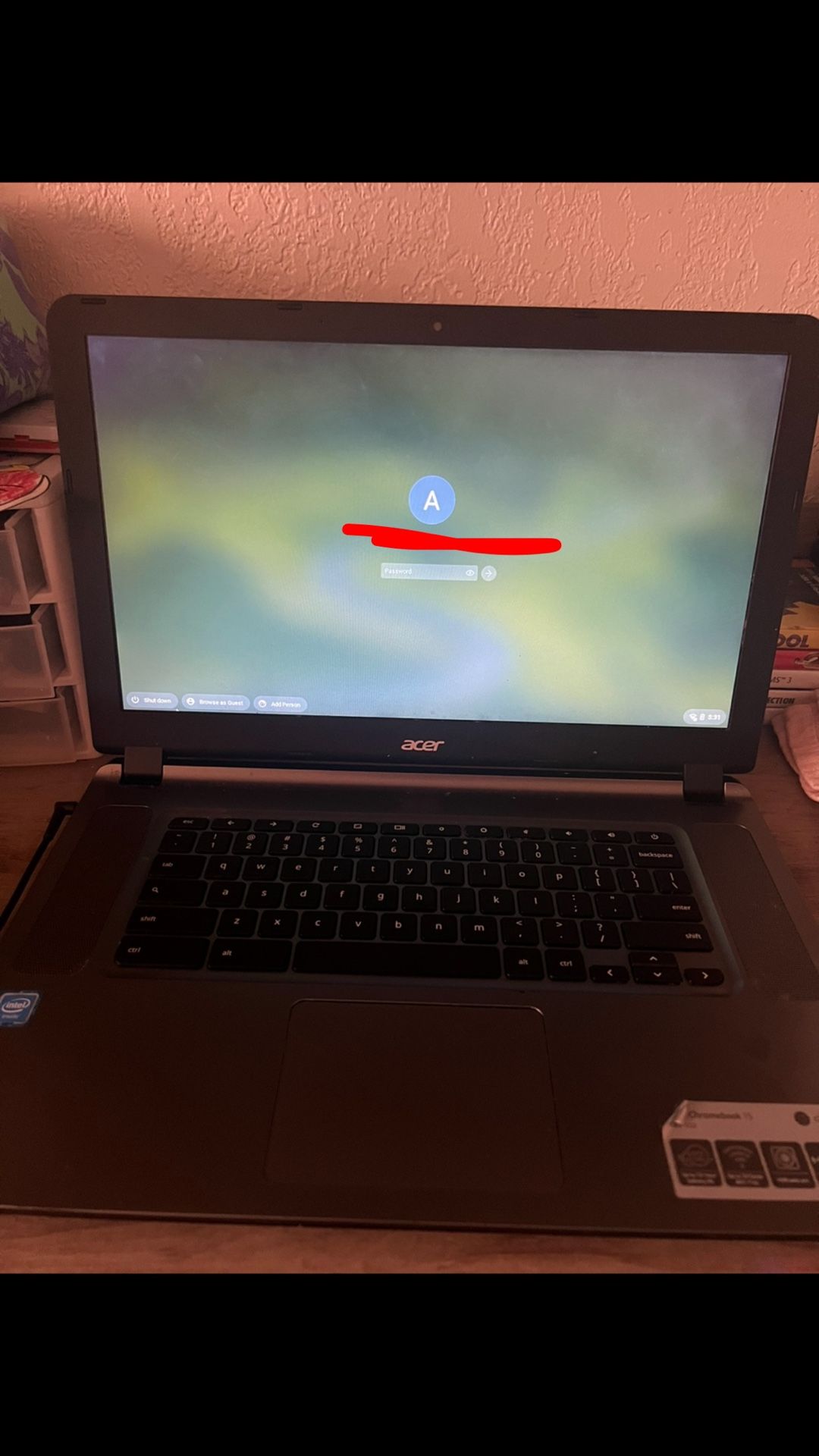 Acer Chromebook 15