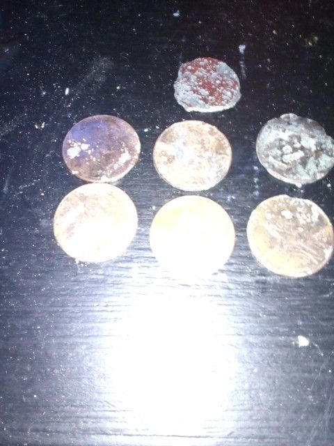 Sevan Error Penny's