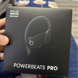 Powerbeats Pro Earphones Packed Piece