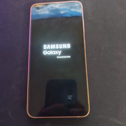 Samsung Galaxy S24 (Orange)