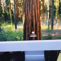 2021 desktop computer with 8GB RAM and 250GB internal memory, M1 chip, pre-owned