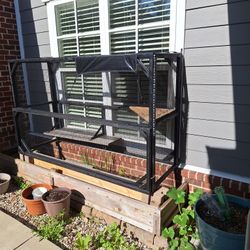 Cat House Through Window.