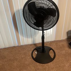 Fan