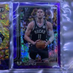 purple border brook lopez card 238-250