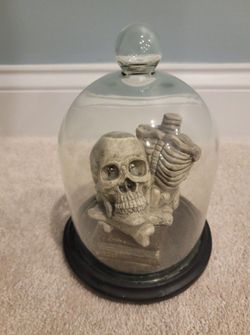 Martha Stewart Halloween LED Skull Cloche 8"