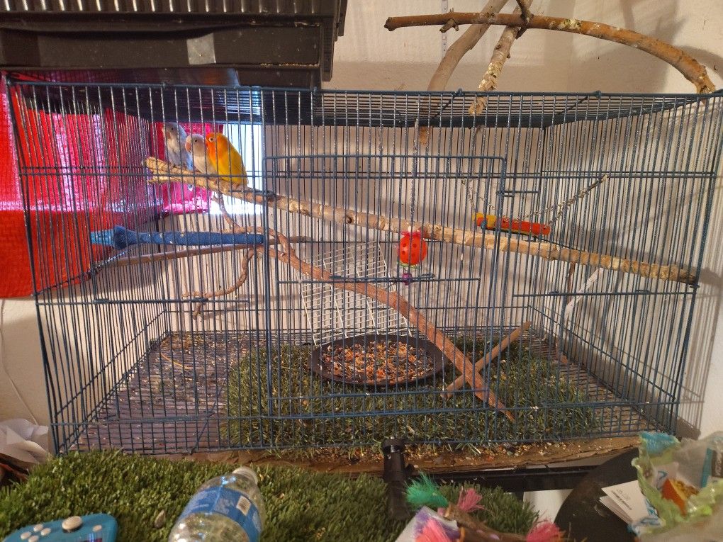 Bird Cage for Sale in Phoenix, AZ OfferUp