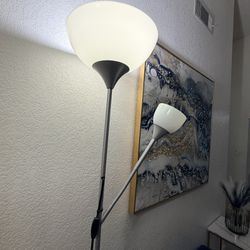 Floor Lamp – Main Light Works Great – $10