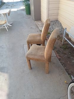 Leopard Print Chairs