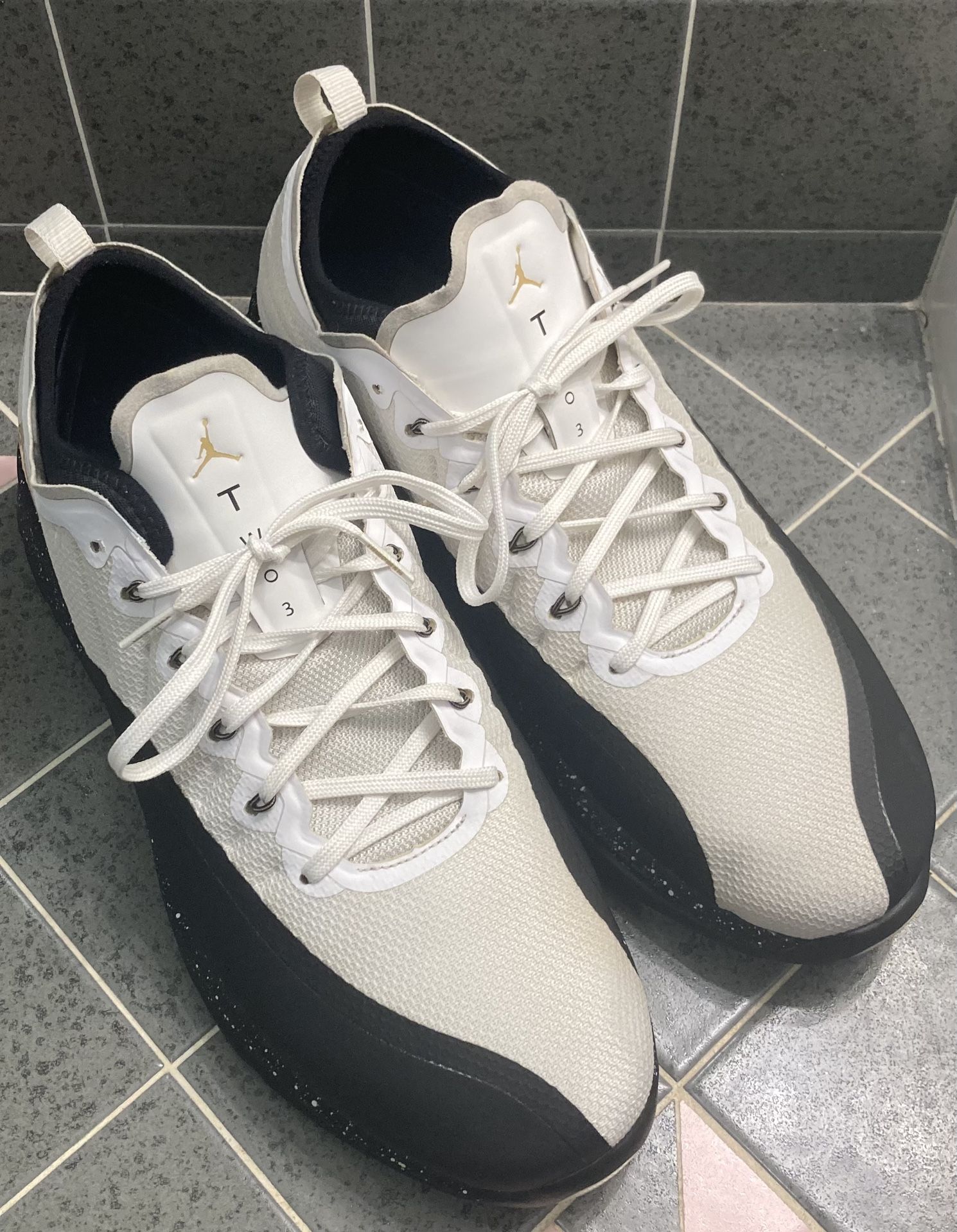 Air Jordan Nike Trainer Prime Size 13 shoes