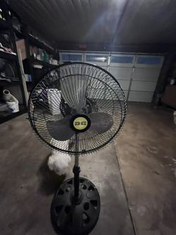 Fan