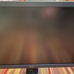 Benq Gaming Monitor