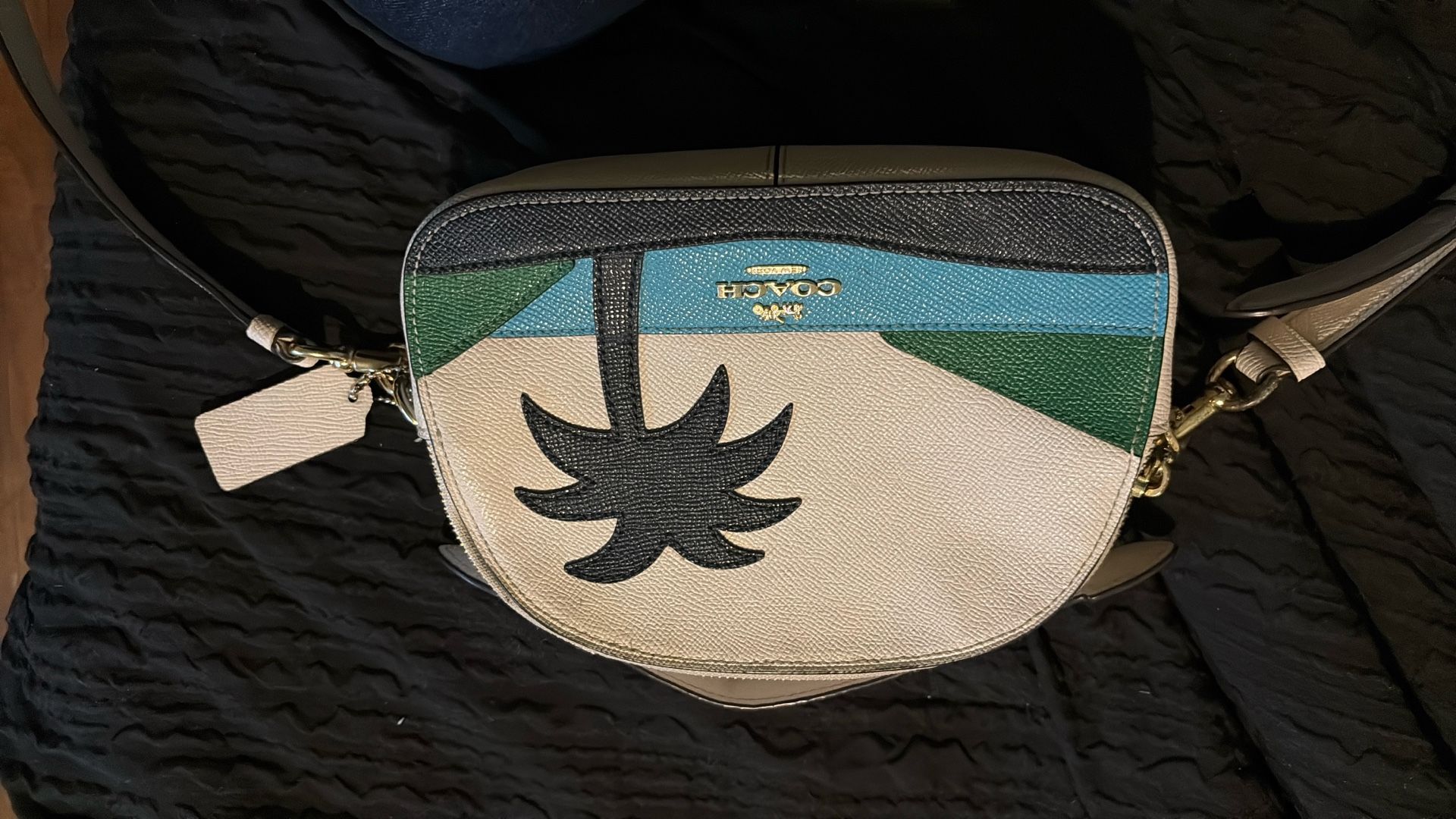 Coach Serena Satchel With Sunset Motif Women's Bag