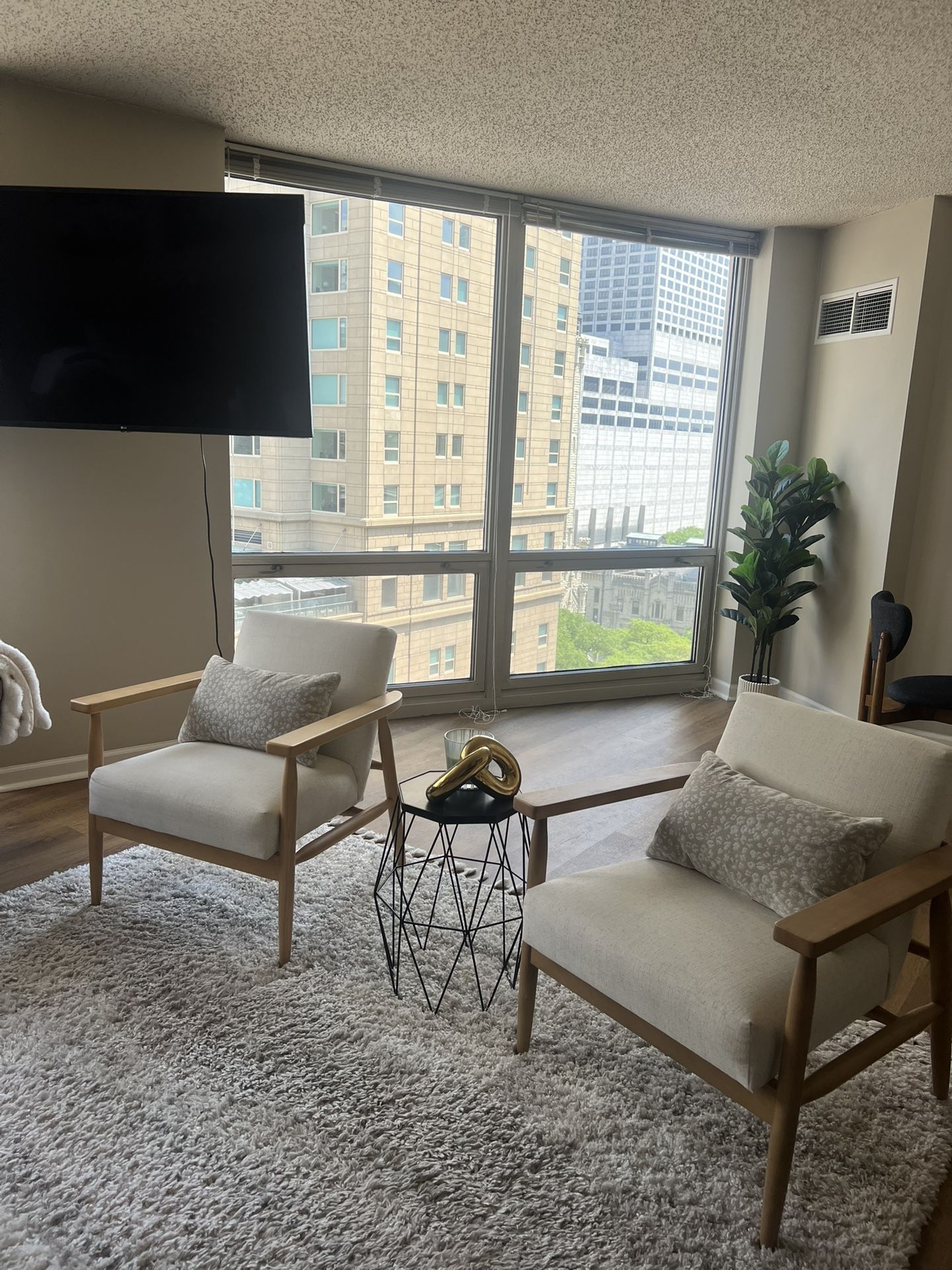 2 Accent Chairs