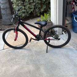 Nishiki Mountain Bike