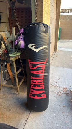 Everlast 80lbs heavy bag