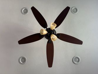 Ceiling fans.