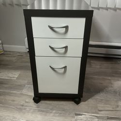 Rolling Cabinet 