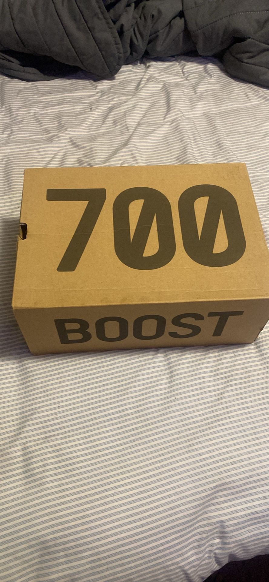 Yezzy Boost 700
