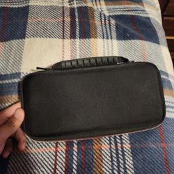 Nintendo Case