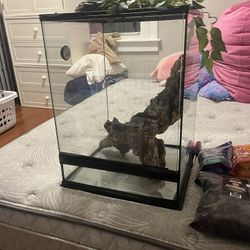 Reptile Items