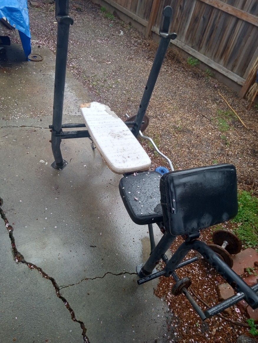 Marcy Bench Press Bench