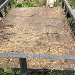 A Small Utility Trailer For 300 Or Make Me An Offer I Won't Go No Lower Than 280