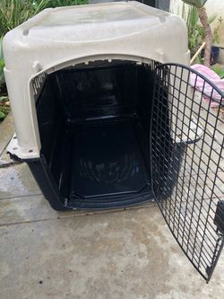 Large Plastic Dog Kennel Travel Crate