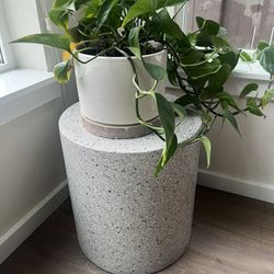 Article Solina Gray Terrazzo Outdoor Stool - $229 new (MOVING SALE)