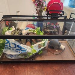Reptile Habitat Starter Kit OBO