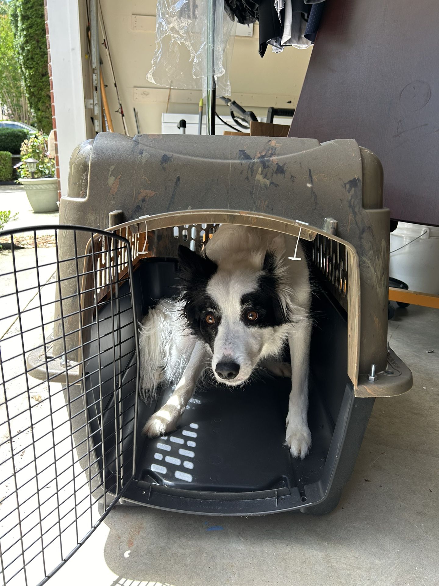 Ruffmaxx Pet Kennel Medium 32" Dog Crate Plastic Travel Pet Carrier 30-50Lb Camo