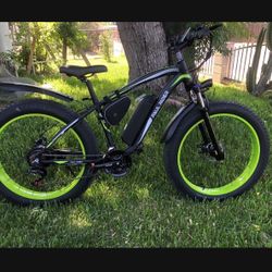 Electric Bike