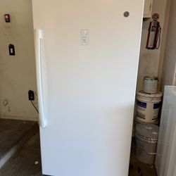 Standup Freezer 