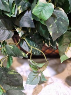 artificial plants in container.