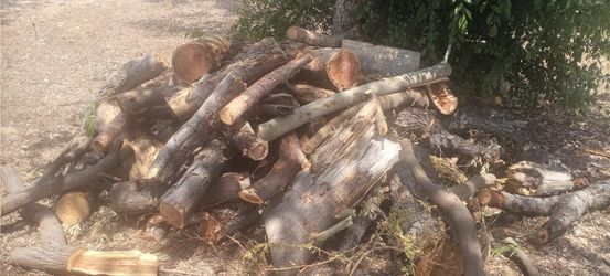 Oak Firewood $80