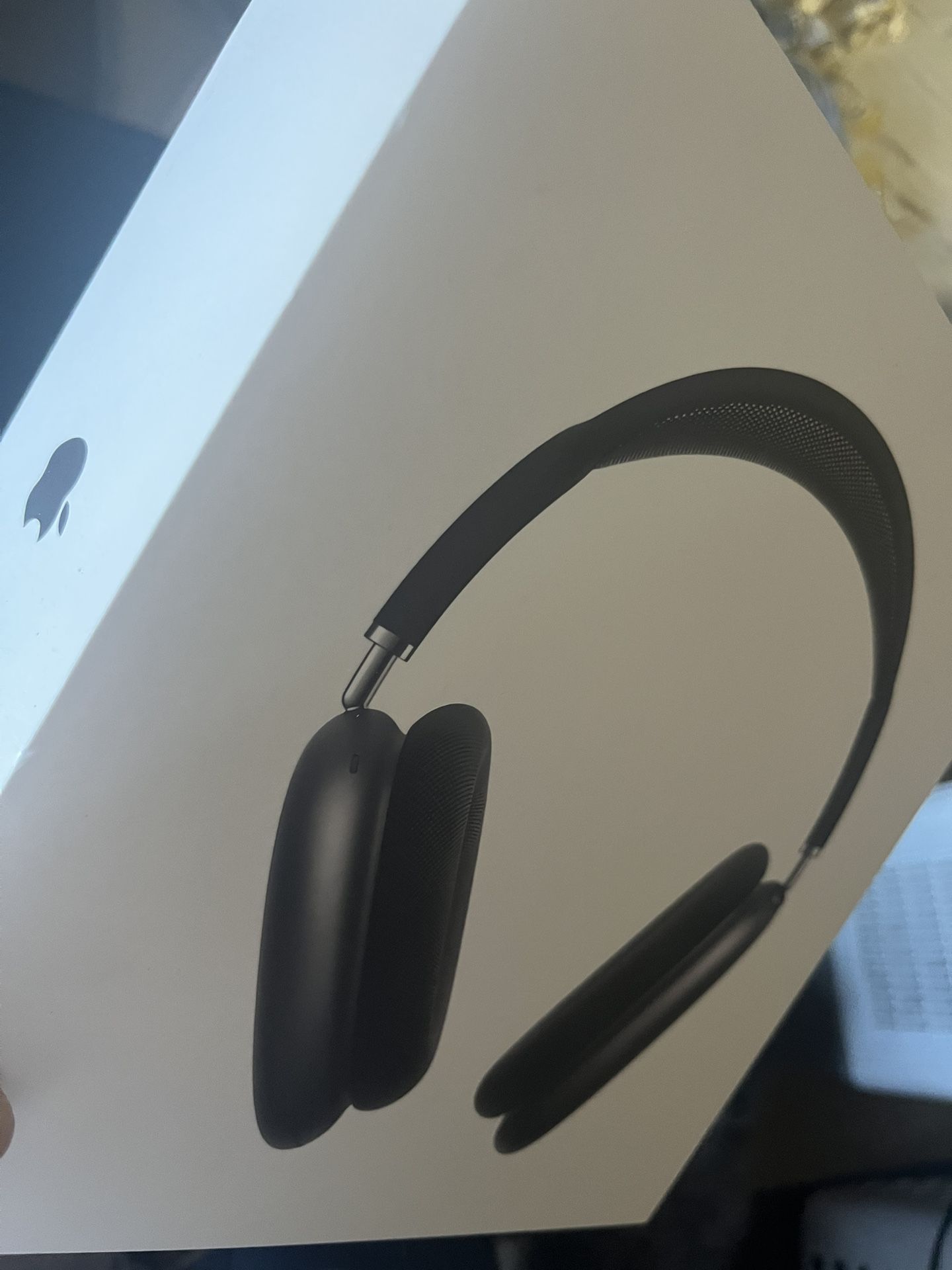Air Pod max