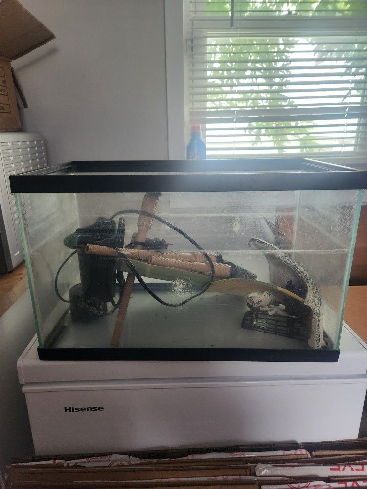 10 Gallon Tank