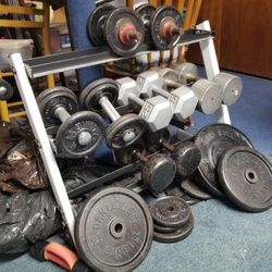  .Dumbells And Plates By Dan Laurie 