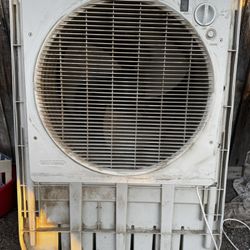 Bonaire  Swamp Cooler 