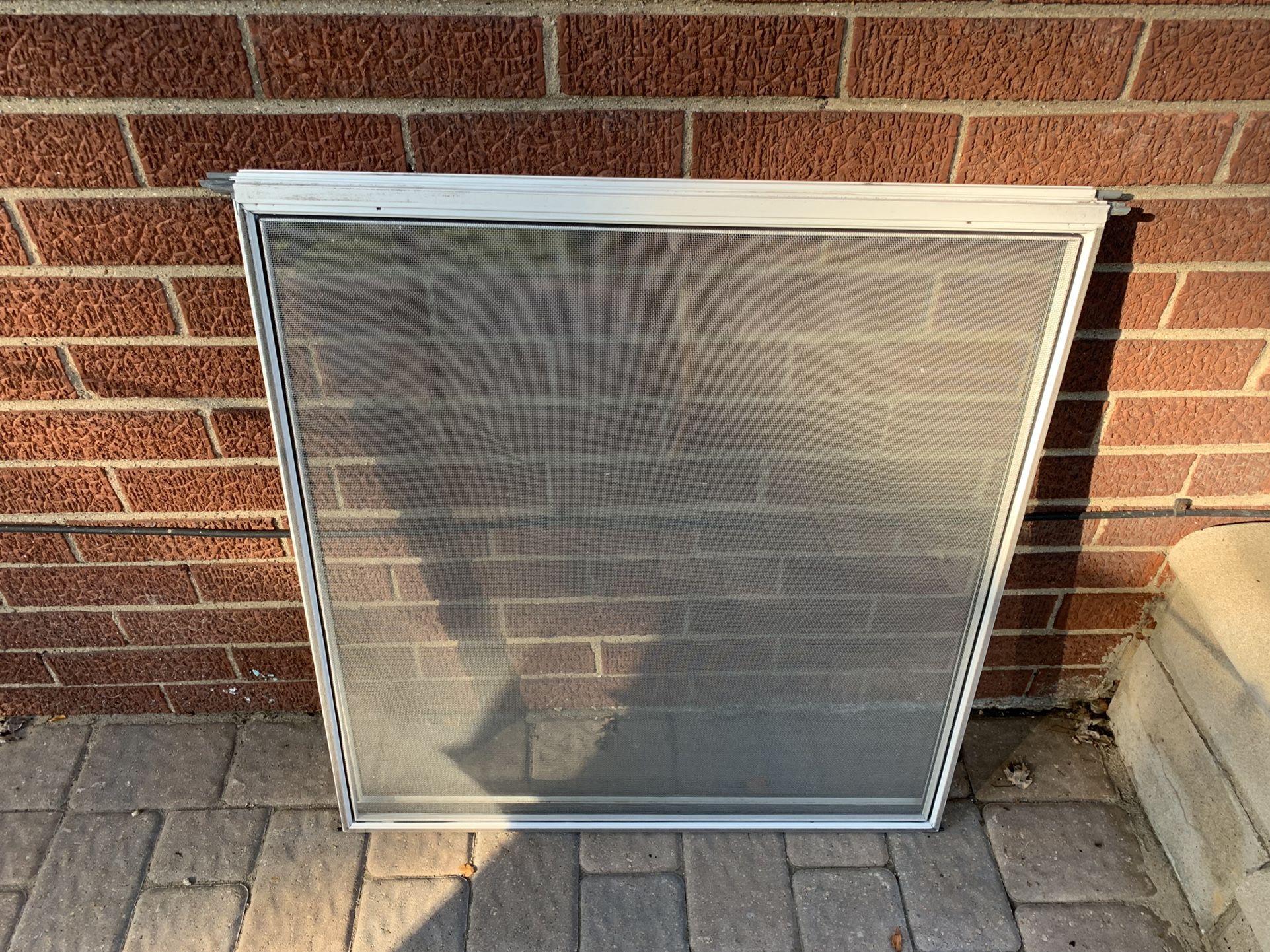 32 Wide Standard Storm Door Glass and Net window Panes for Sale in