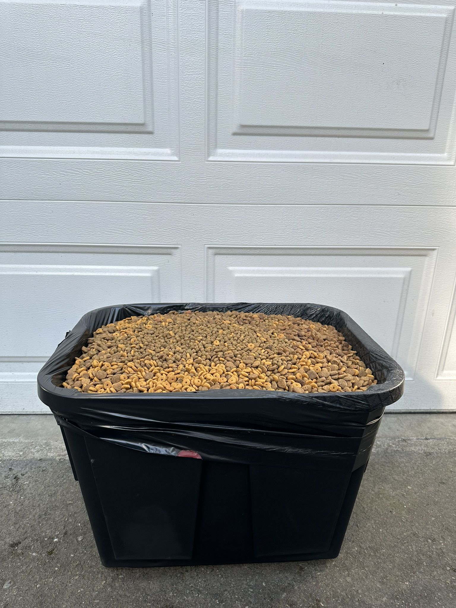 Dog Mixed Food