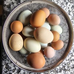 Fresh Eggs