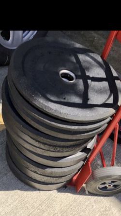 Olympic hi temp bumper weights