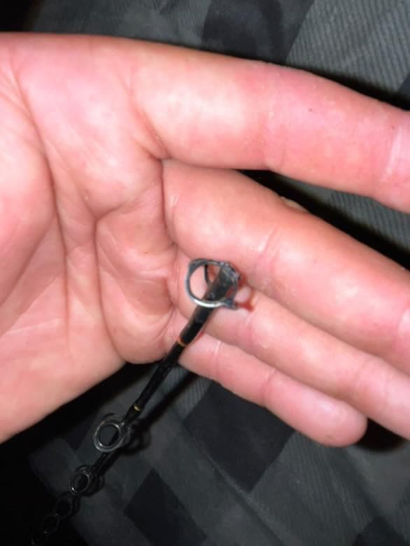 Fishing Rod
