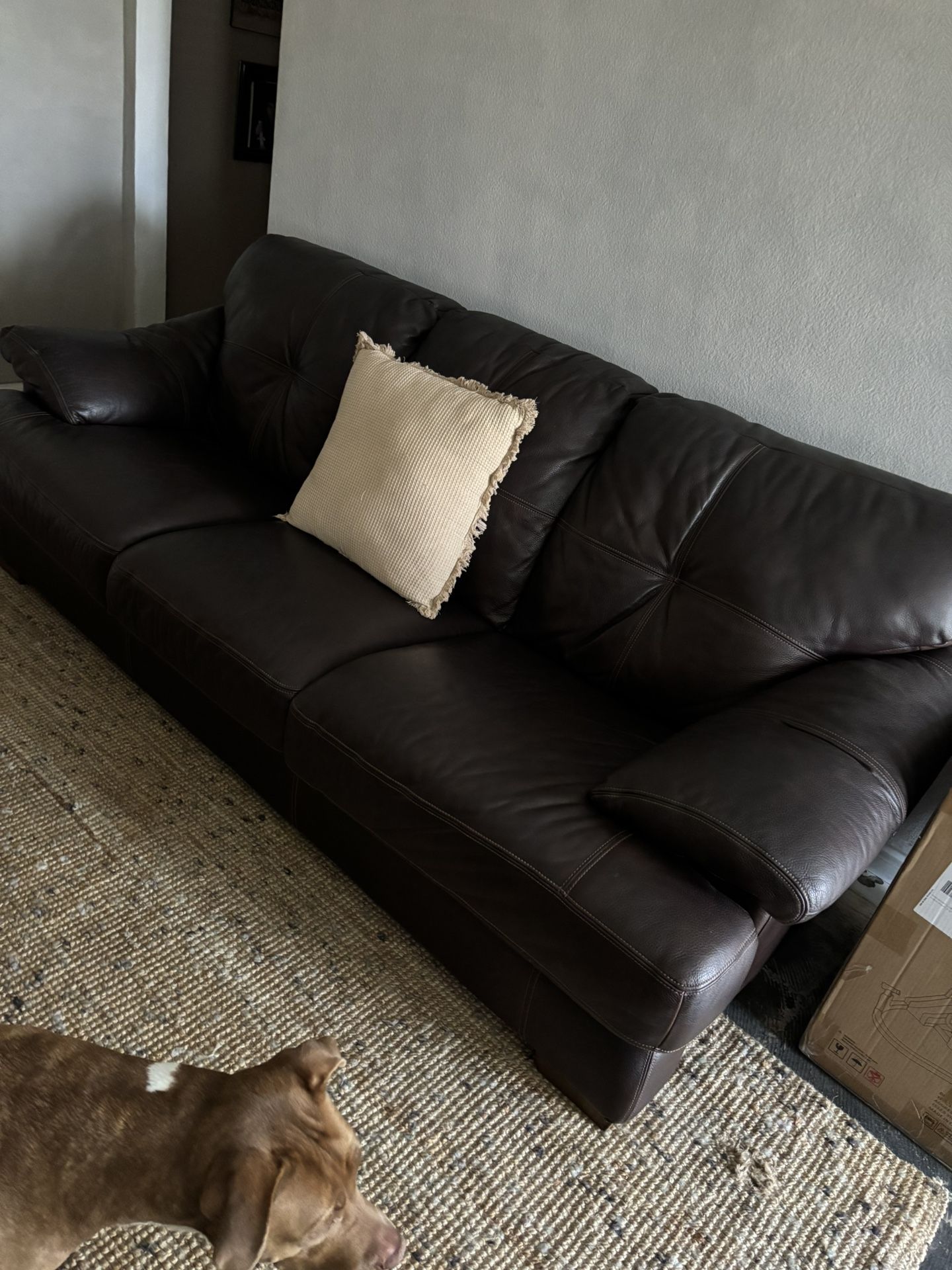 Leather Couche