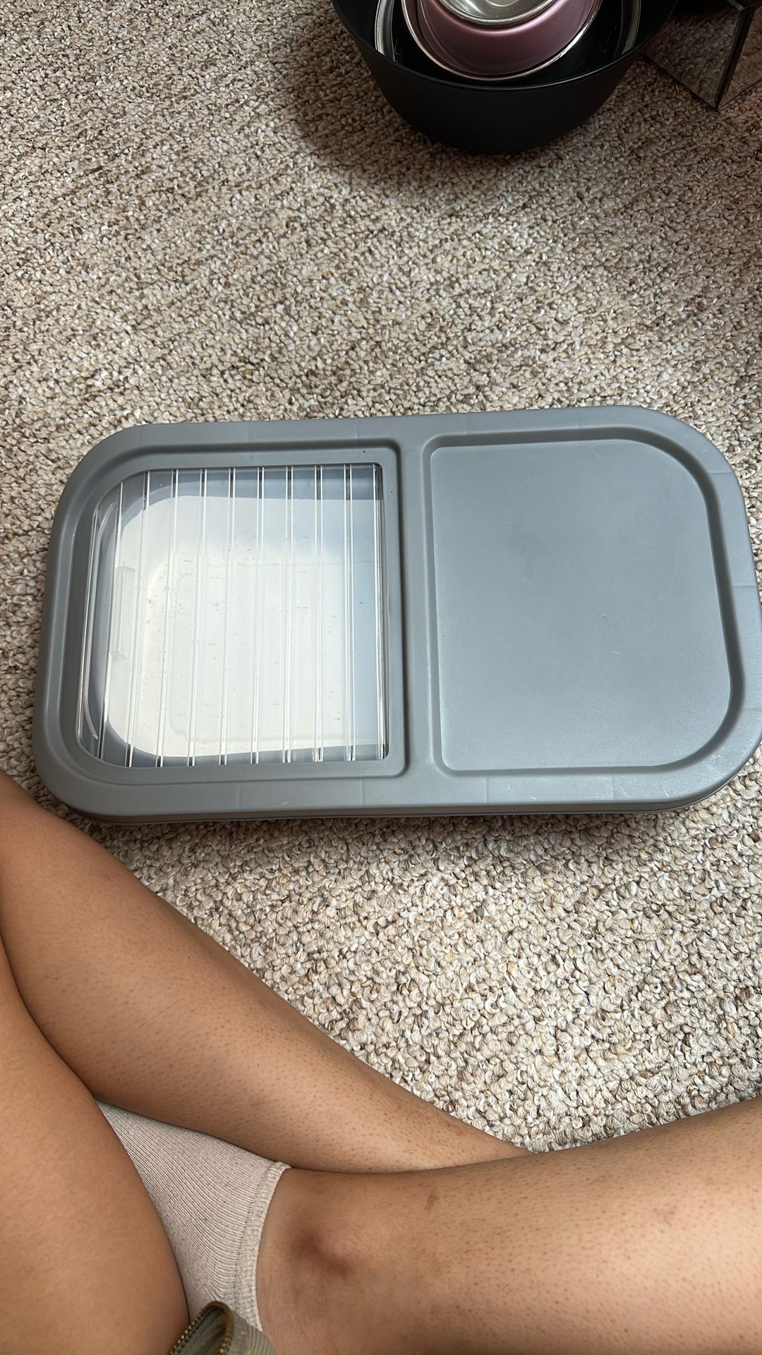 Dog Food Container Collapsible