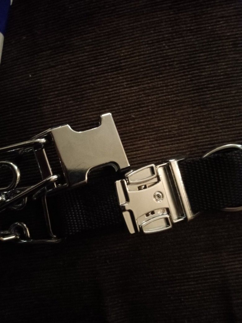 Traning Dog Collar