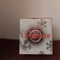 Picture This Ornament